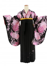 卒業式袴レンタルNo.597[4Lサイズ][新古典]黒・ピンク紫の牡丹桜